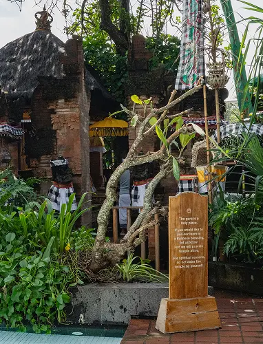 Potato Head Beach Club 8